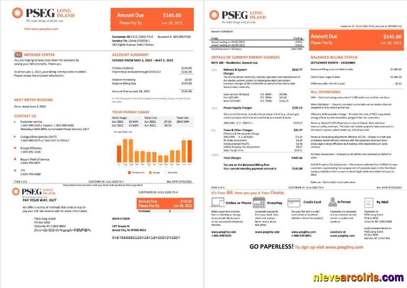 USA New Jersey PSEG electricity utility bill 2 pages